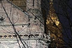 IMG_1461