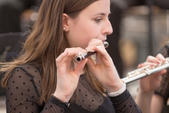 Soufflenheim2017 (27) Soufflenheim2017 (27)
