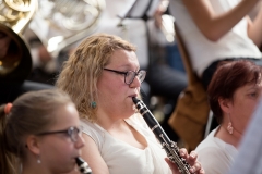 Soufflenheim2017 (42) Soufflenheim2017 (42)