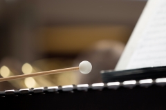 Soufflenheim2017 (70)