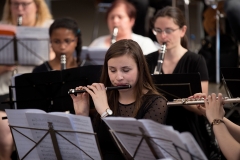 Soufflenheim2017 (82)