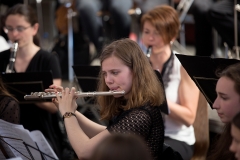 Soufflenheim2017 (83) Soufflenheim2017 (83)