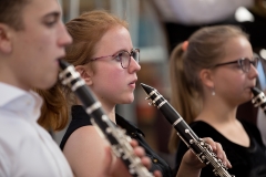 Soufflenheim2017 (86)