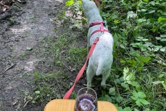 Celie_IMG_2288.jpeg_compressed