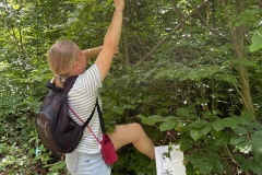 Elo_IMG_9825.jpeg_compressed