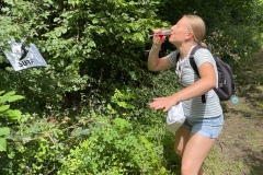 Elo_IMG_9833.jpeg_compressed