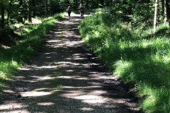 Guth_image.jpg_compressed