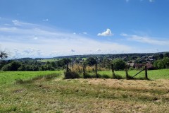 JacobIsabelle_20240707_105449.jpg_compressed