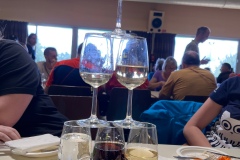 Juju_IMG_9766.jpeg_compressed