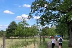 Nathalie_IMG_5329.jpeg_compressed