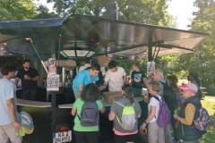 Toto_17203426933204431885903113089273.jpg_compressed