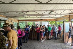 Toto_PXL_20240707_115222409.jpg_compressed