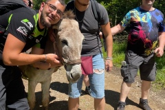 mk2_IMG_4430.jpeg_compressed